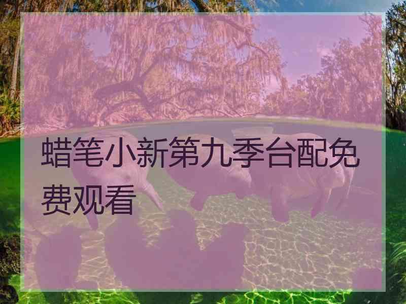 蜡笔小新第九季台配免费观看