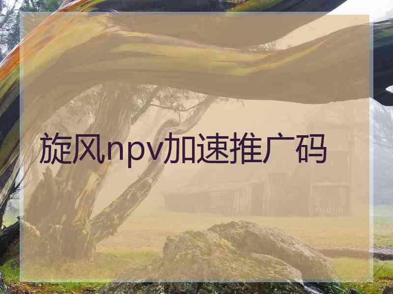 旋风npv加速推广码