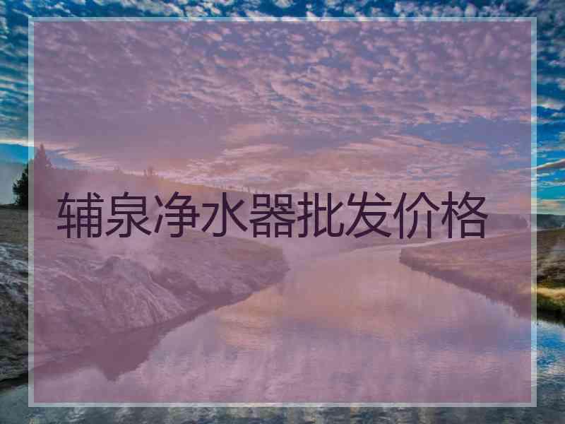 辅泉净水器批发价格