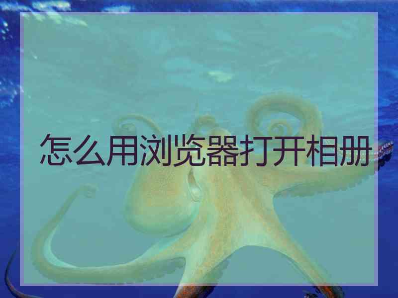怎么用浏览器打开相册