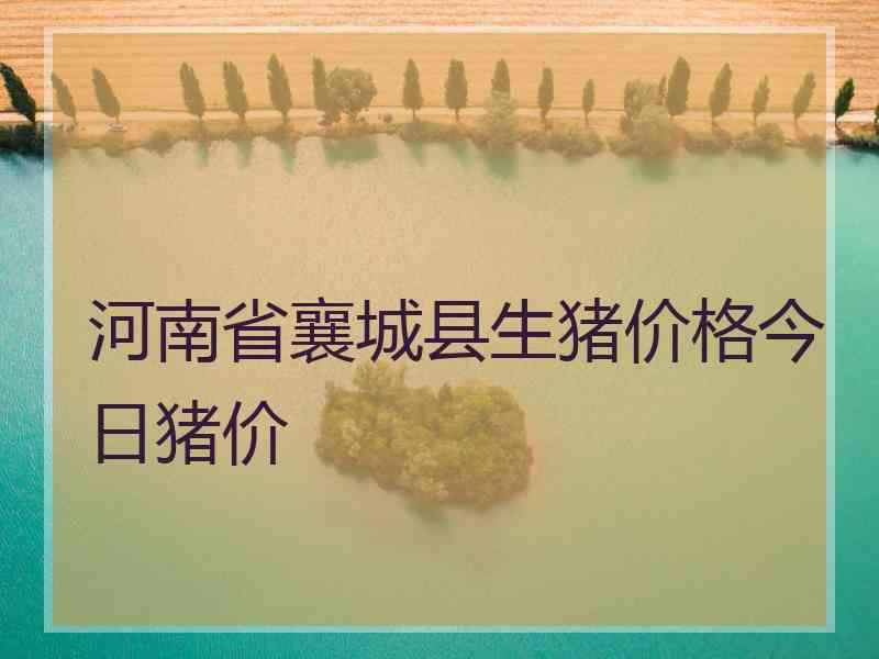 河南省襄城县生猪价格今日猪价
