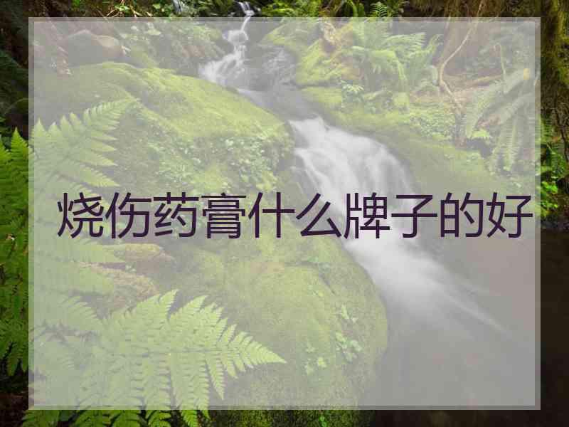 烧伤药膏什么牌子的好