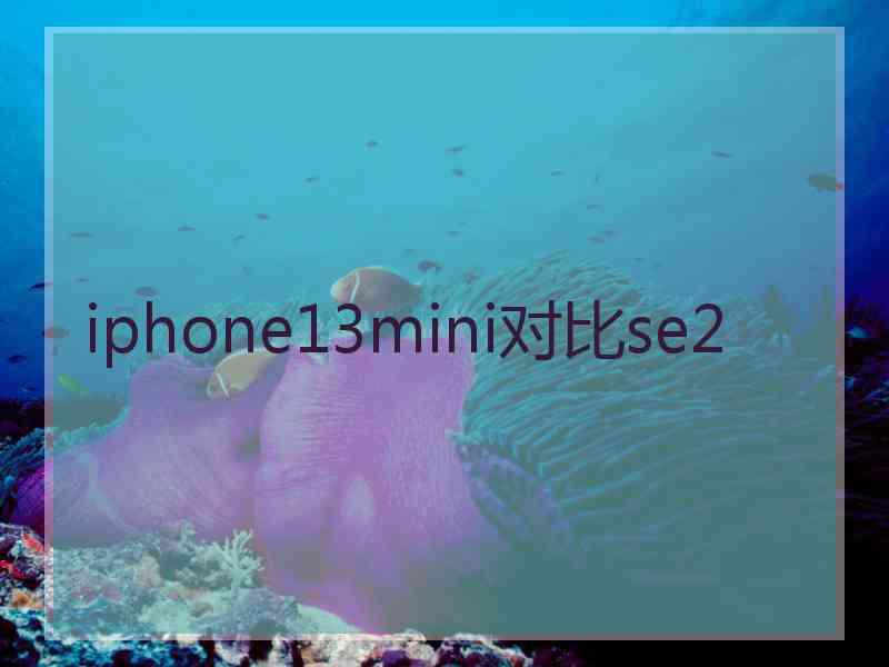 iphone13mini对比se2