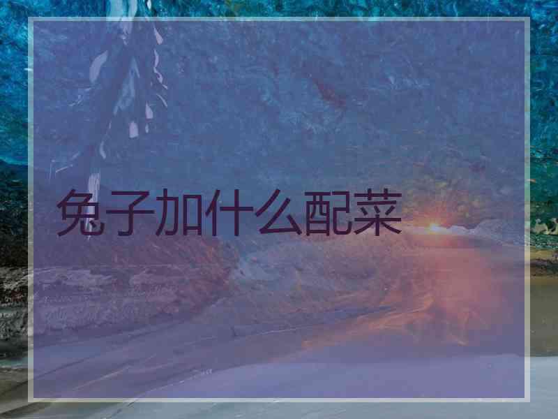 兔子加什么配菜