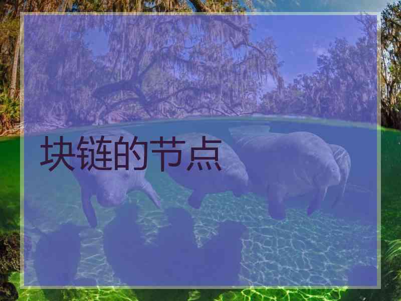 块链的节点