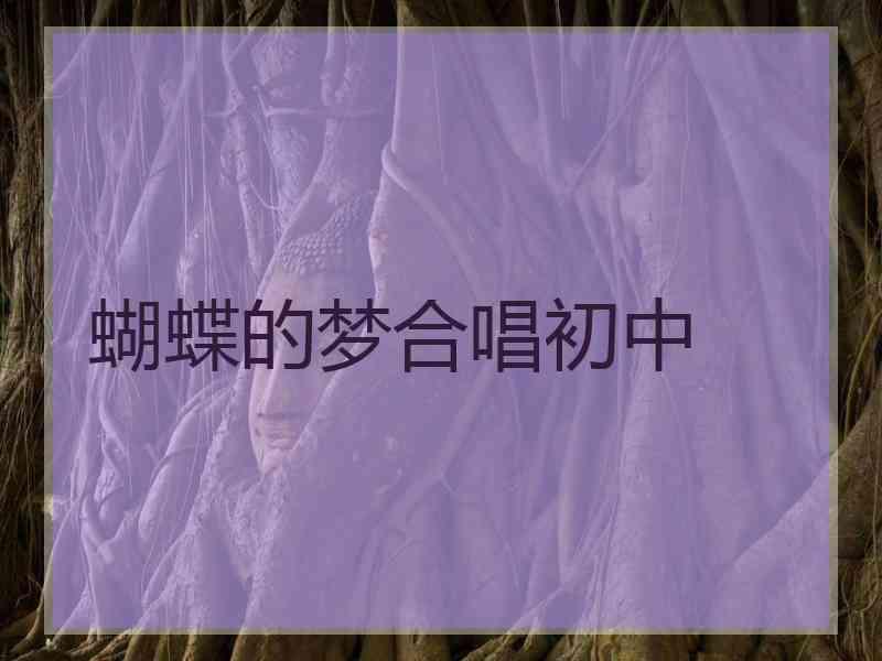 蝴蝶的梦合唱初中