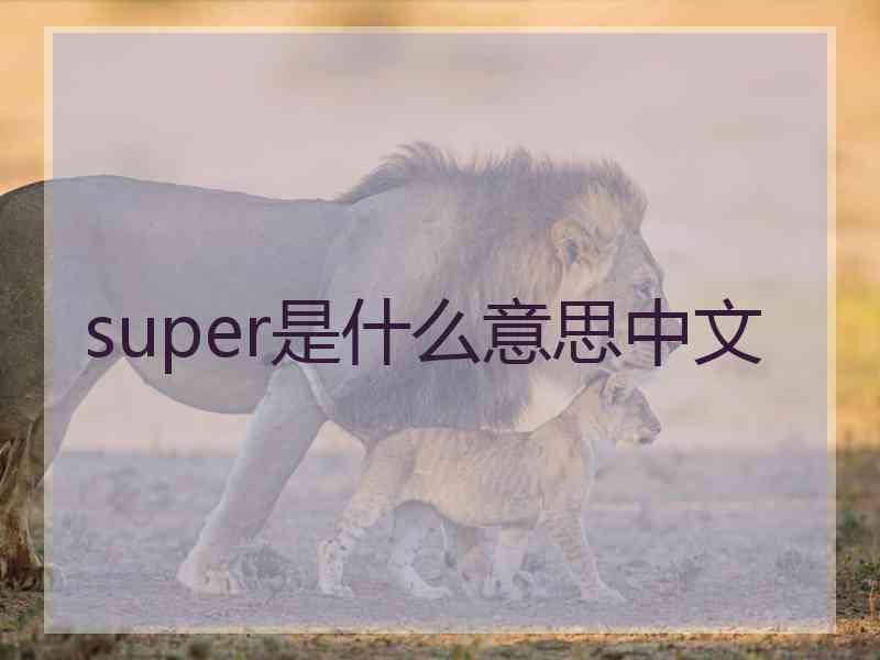 super是什么意思中文