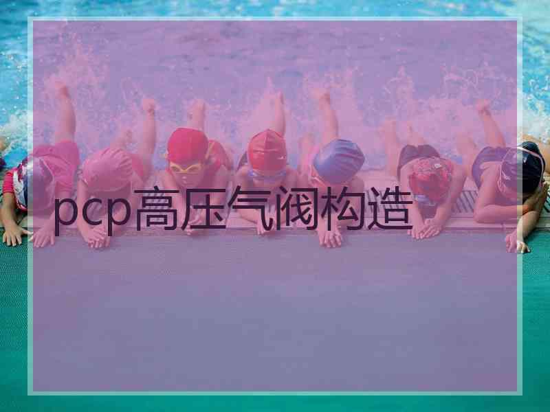 pcp高压气阀构造