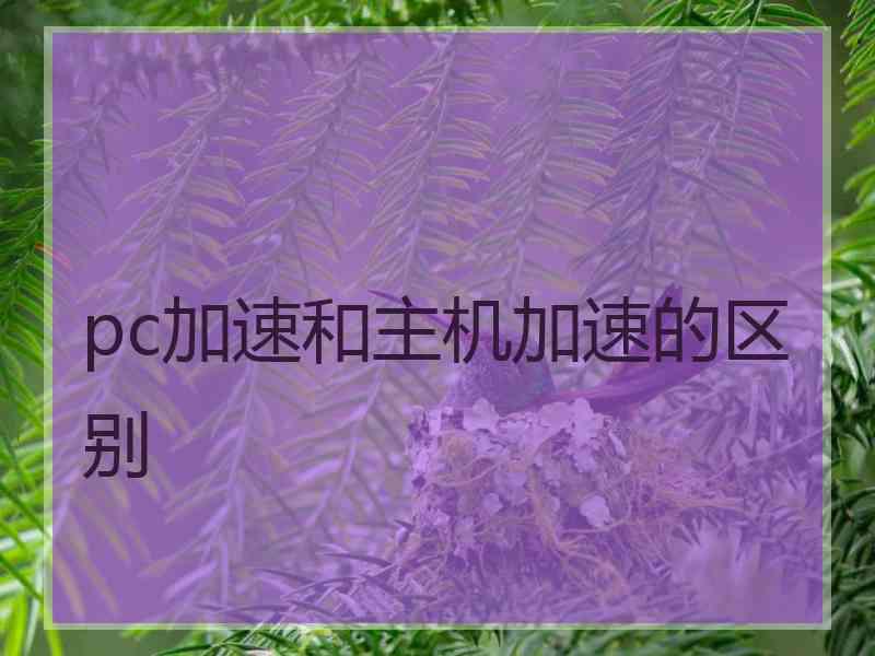 pc加速和主机加速的区别