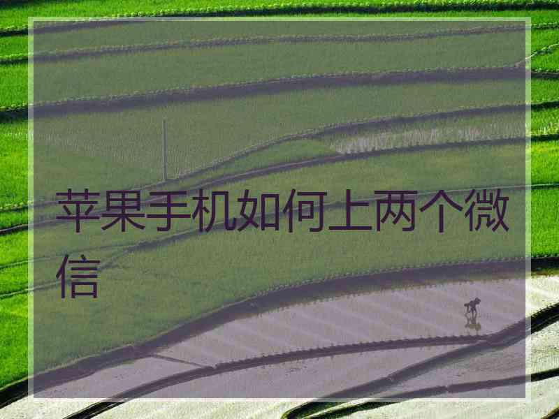 苹果手机如何上两个微信