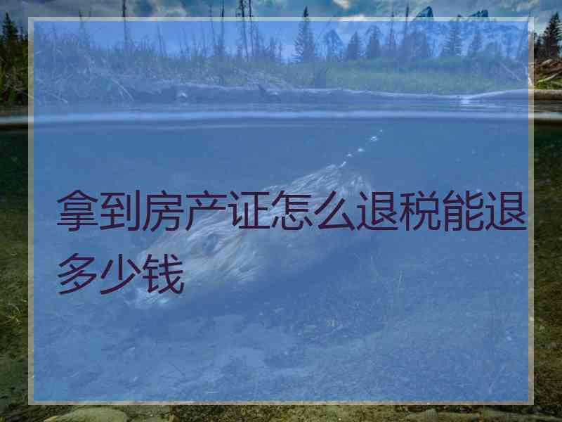 拿到房产证怎么退税能退多少钱