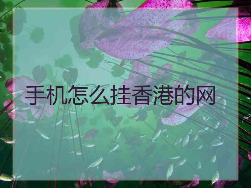 手机怎么挂香港的网