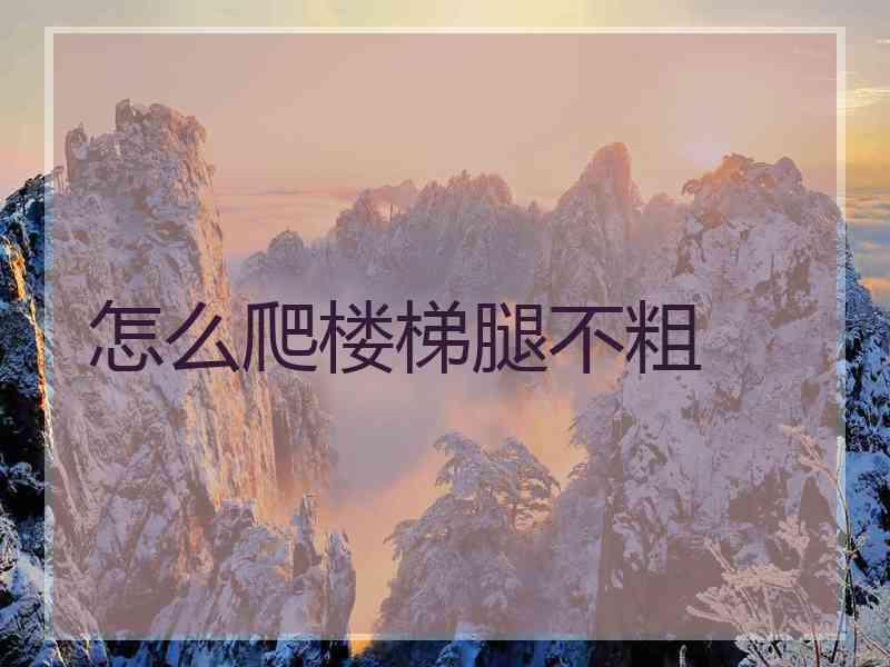 怎么爬楼梯腿不粗