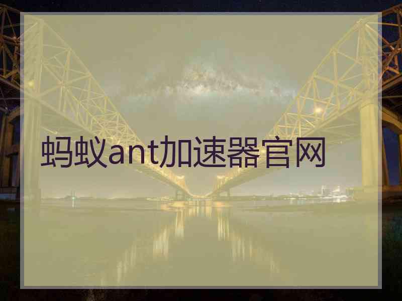 蚂蚁ant加速器官网
