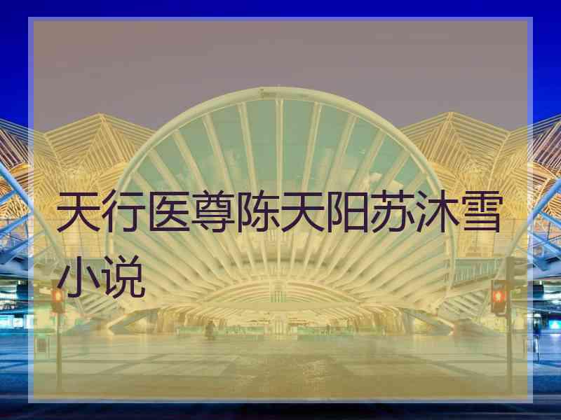 天行医尊陈天阳苏沐雪小说