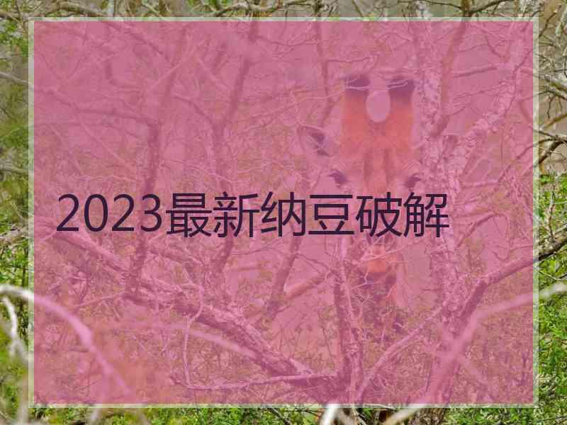 2023最新纳豆破解