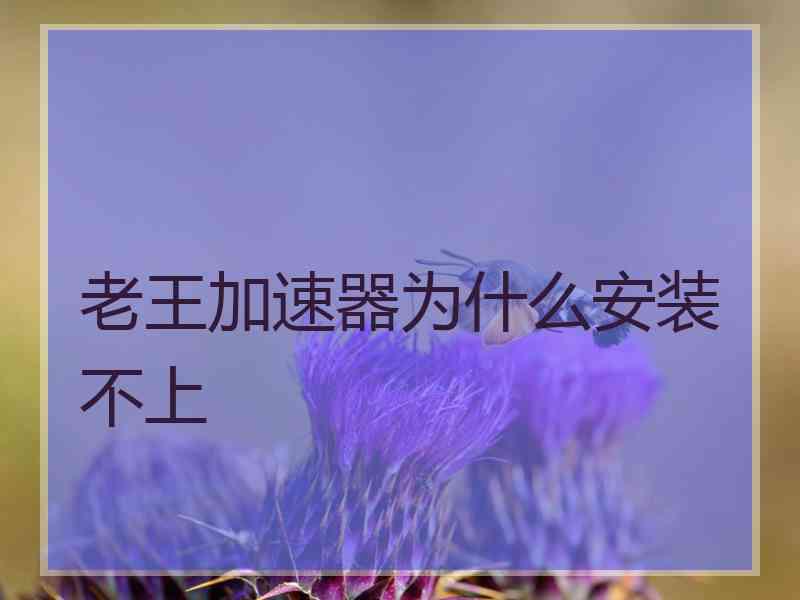 老王加速器为什么安装不上