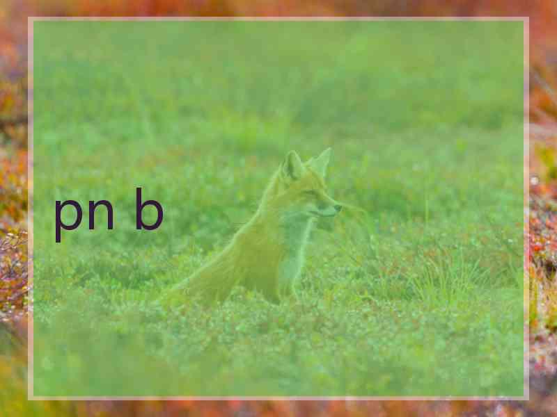 pn b