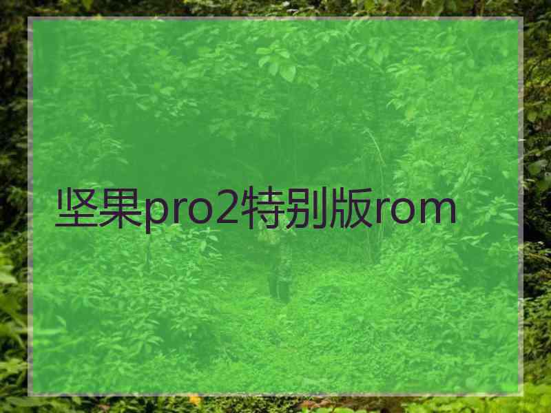 坚果pro2特别版rom