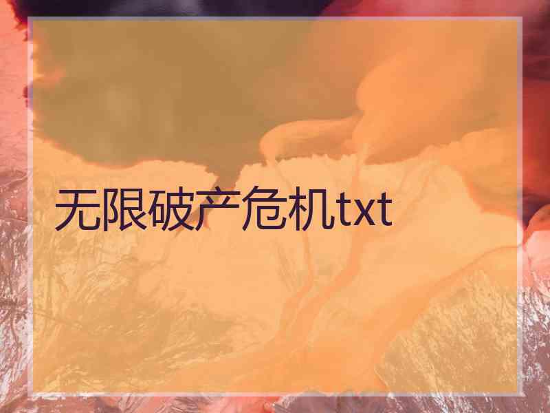 无限破产危机txt
