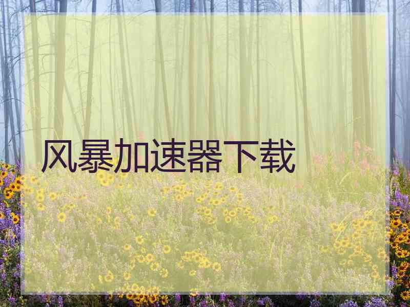 风暴加速器下载