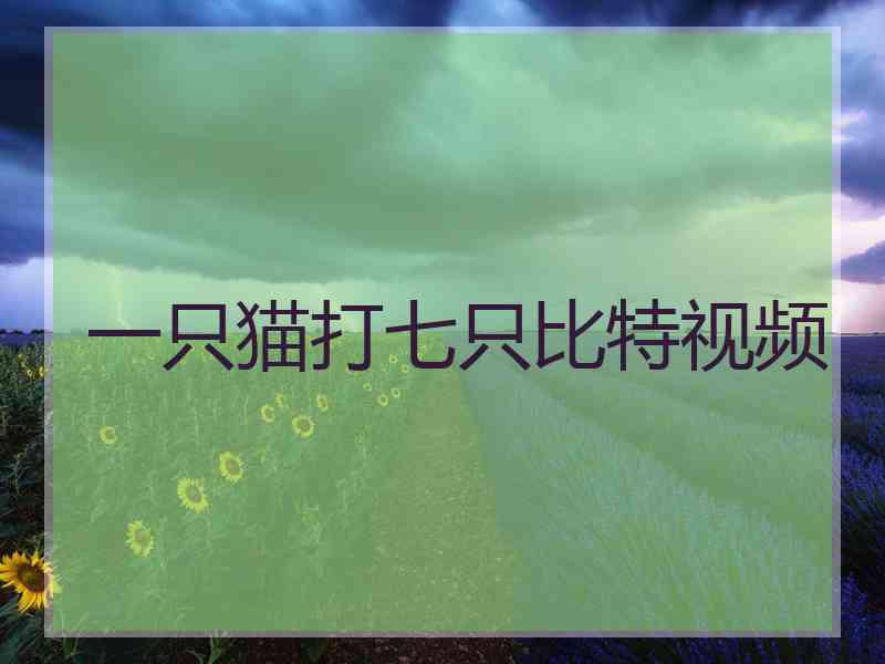一只猫打七只比特视频