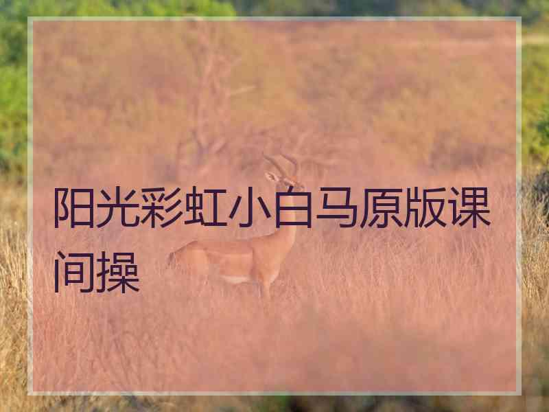 阳光彩虹小白马原版课间操