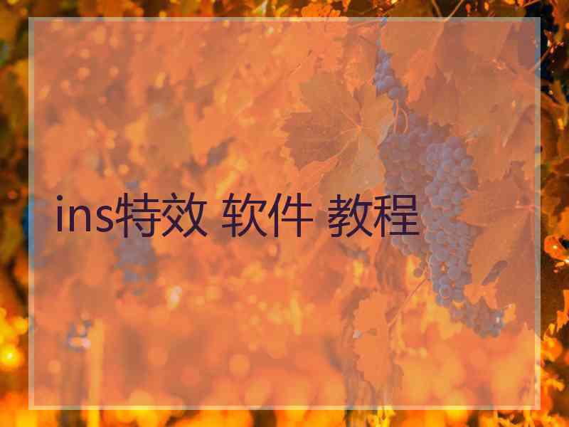 ins特效 软件 教程