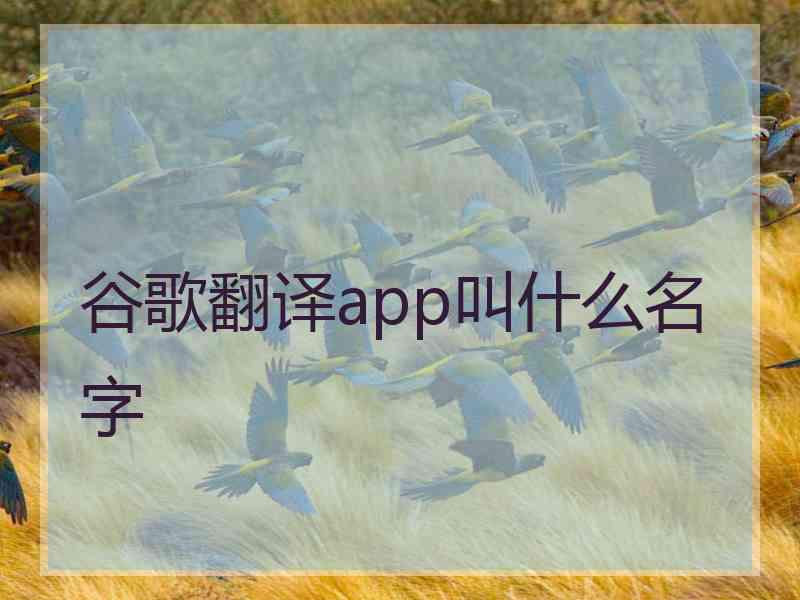 谷歌翻译app叫什么名字