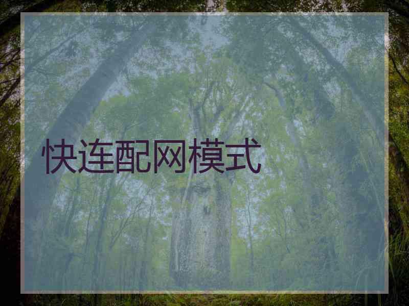 快连配网模式