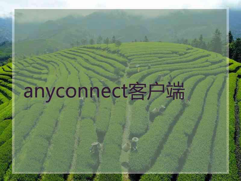 anyconnect客户端