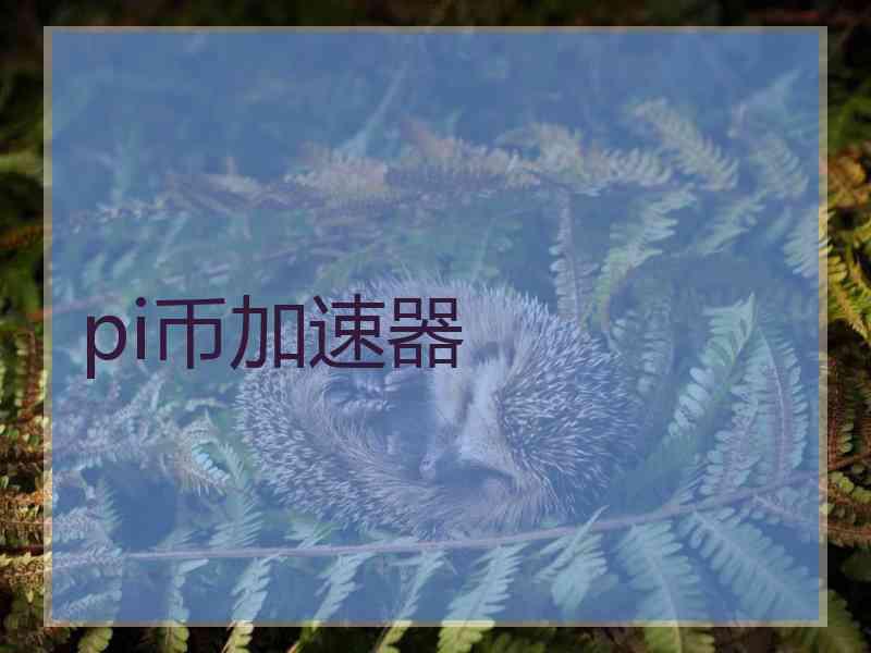 pi币加速器