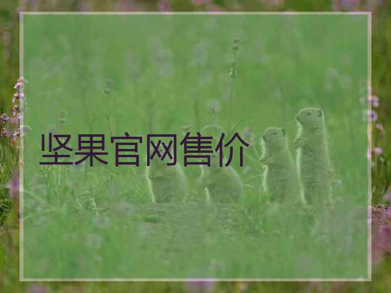坚果官网售价