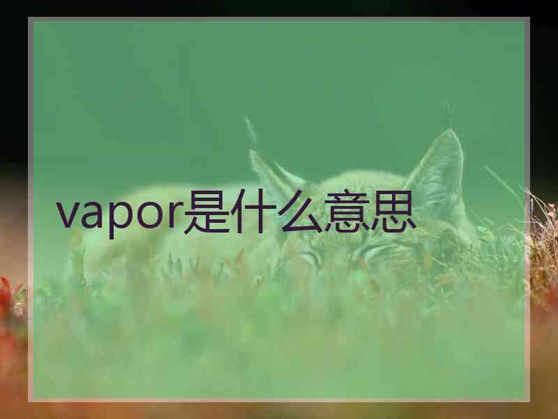 vapor是什么意思
