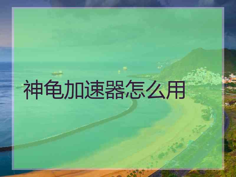 神龟加速器怎么用