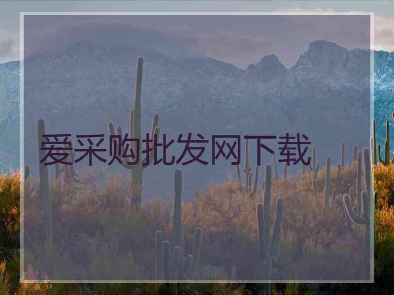 爱采购批发网下载