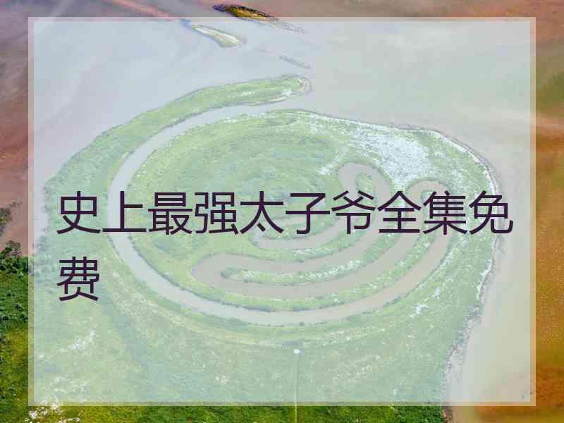 史上最强太子爷全集免费