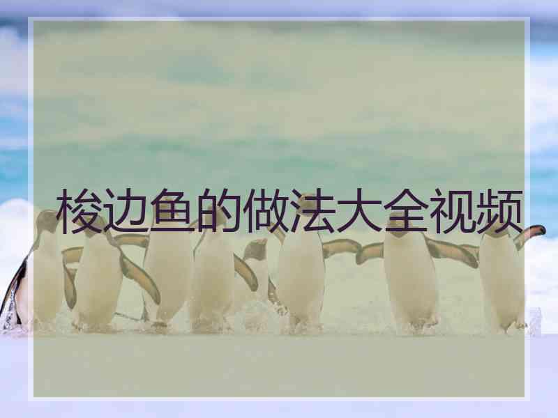 梭边鱼的做法大全视频