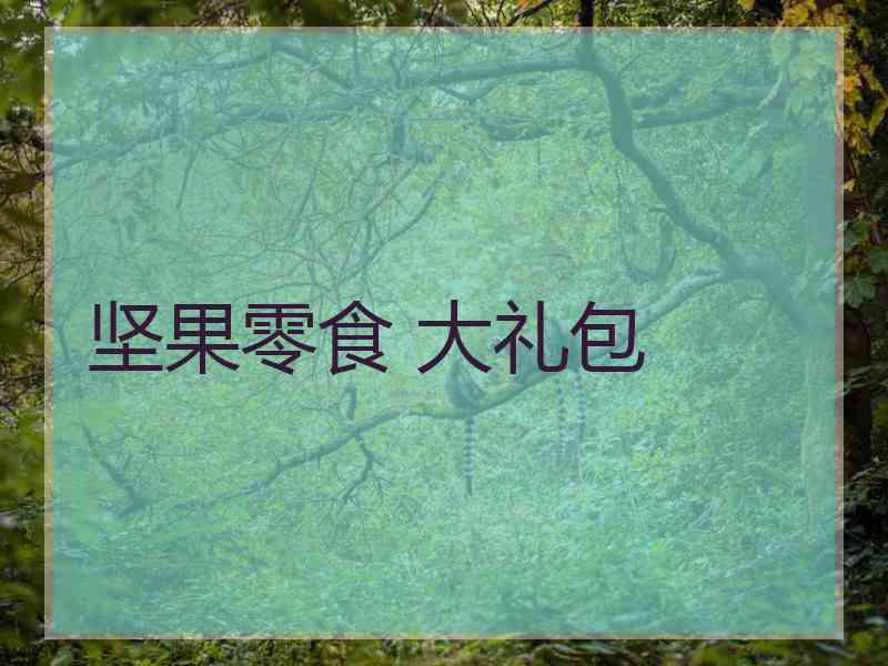 坚果零食 大礼包
