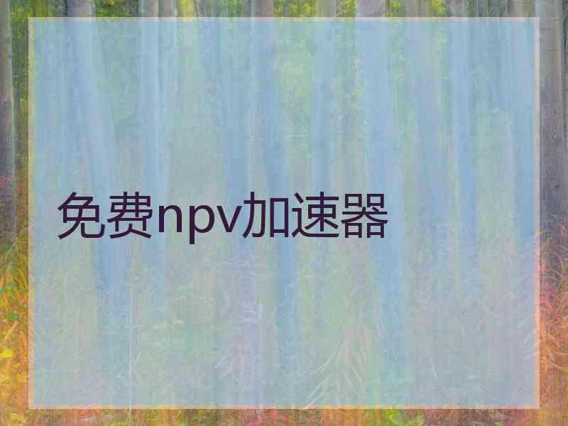 免费npv加速器