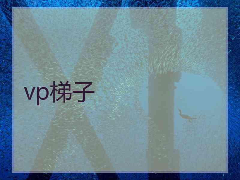 vp梯子