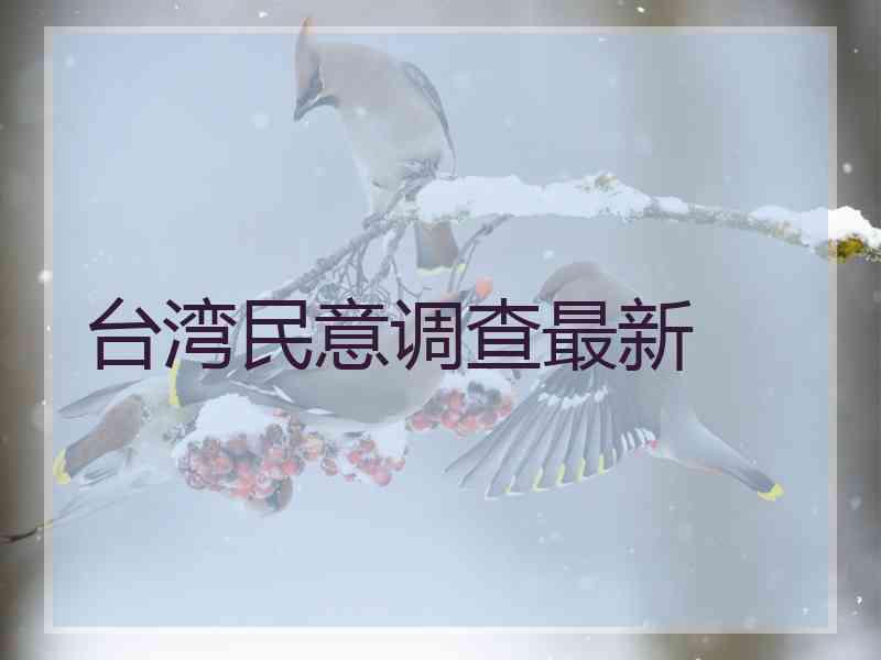 台湾民意调查最新