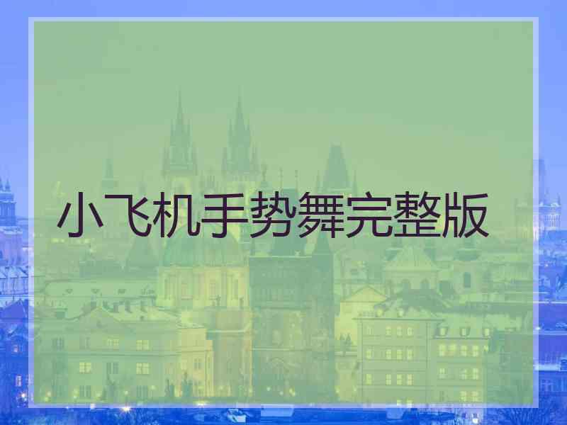 小飞机手势舞完整版