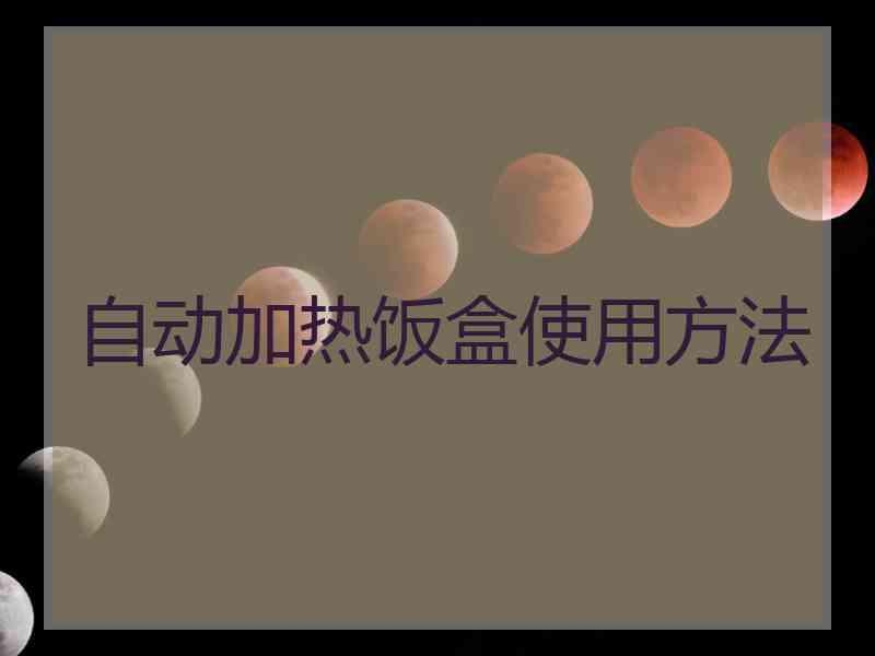 自动加热饭盒使用方法