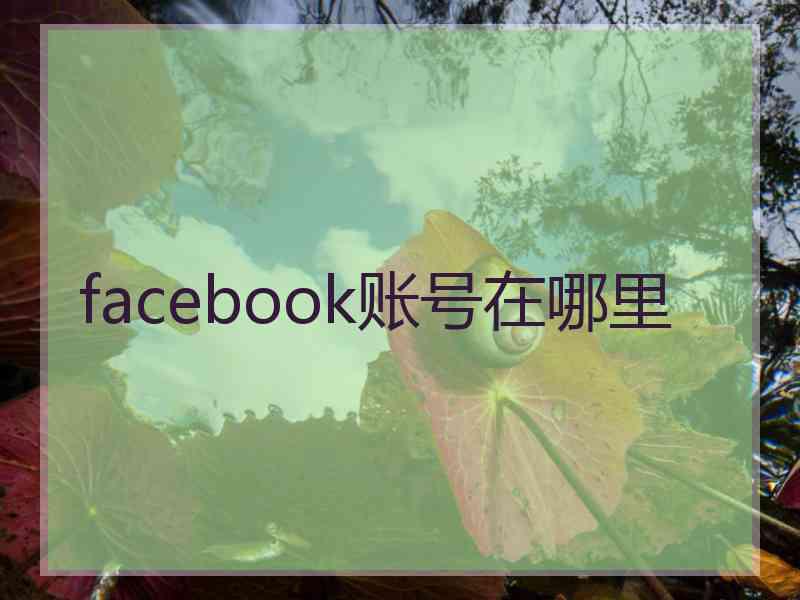 facebook账号在哪里