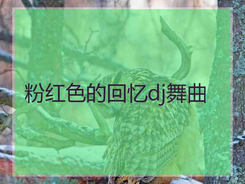 粉红色的回忆dj舞曲