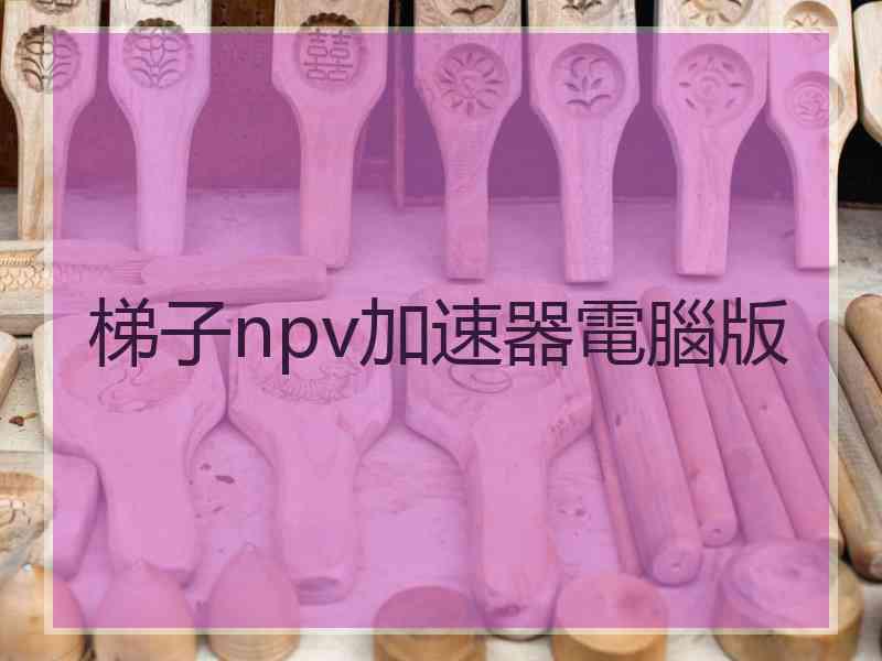 梯子npv加速器電腦版