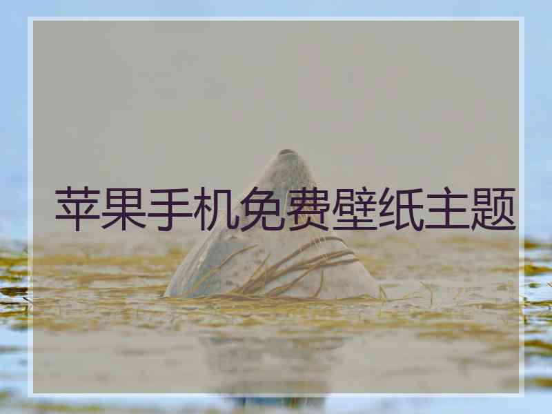 苹果手机免费壁纸主题