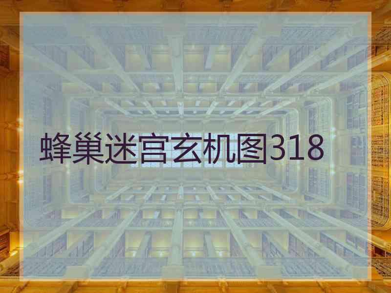 蜂巢迷宫玄机图318