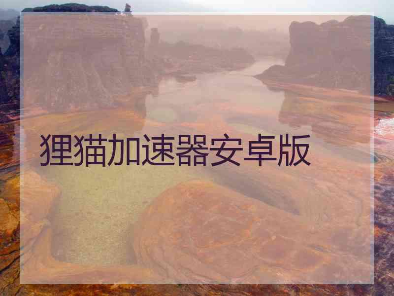狸猫加速器安卓版